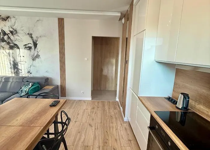 Perfect Oldtown Riverview Balcony * غدانسك